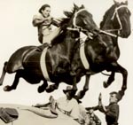 [ woman standing on two horses jumping car]